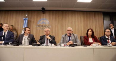 En Diputados, CAME presentó propuestas para aliviar la situación de las pymes