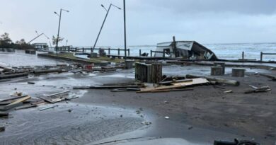 Se realizan tareas de limpieza y recolección tras el fuerte temporal que afectó a la ciudad