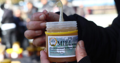 Comienza la “Semana de la miel bonaerense”