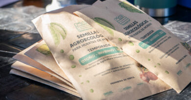 Comenzó una nueva entrega de semillas agroecológicas para la huerta domiciliaria