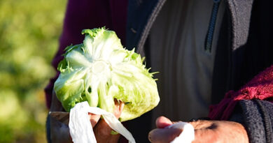 La Plata impulsa un evento de promoción y visibilización de la producción hortícola